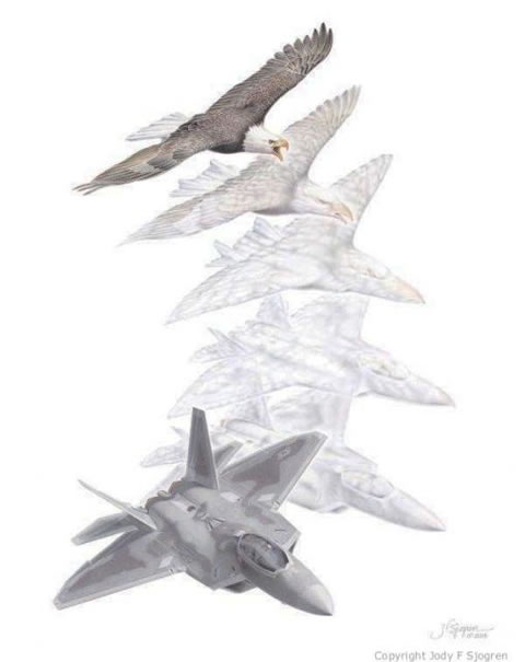 "Metamorphosis VII: Dominant Raptor" - Jody F. Sjogren - F-22 Raptor Art